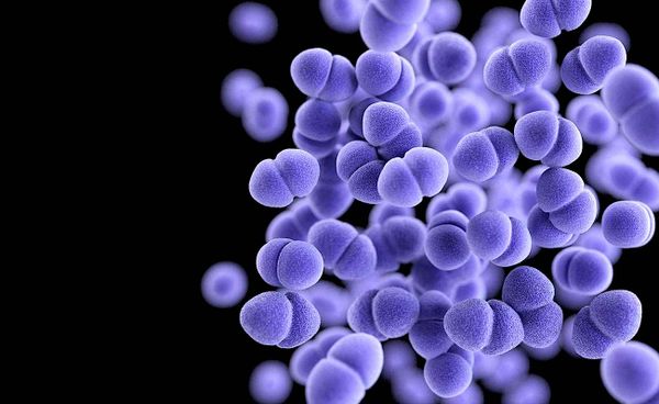 Un nouveau médicament contre les superbactéries mortelles pourrait sauver des dizaines de milliers de vies