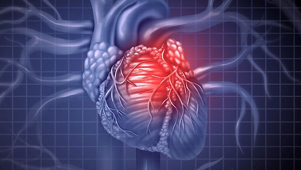 Des muscles cardiaques cultivés en laboratoire ont été transplantés chez l'Homme pour la première fois