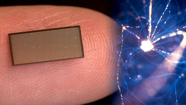 Un nouveau processeur inspiré du cerveau peut contenir un million de neurones artificiels