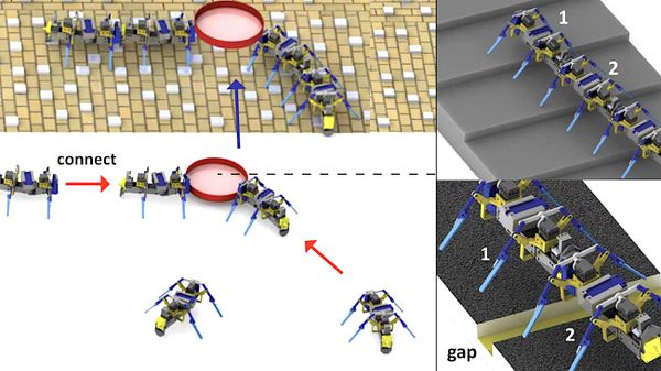 Des robots inspirés des fourmis travaillent en essaim pour franchir des obstacles et soulever des objets