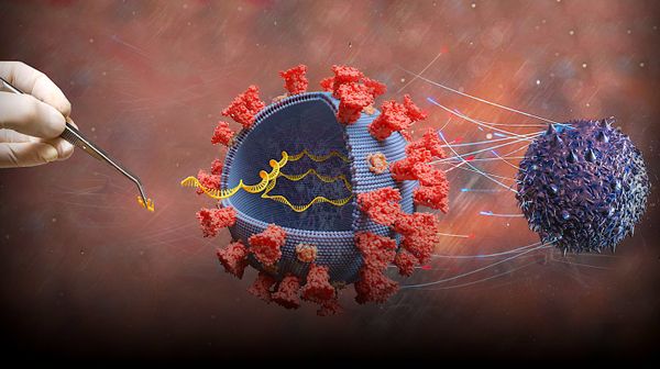 Vaccins à ARNm : comment fonctionnent-ils ? En quoi sont-ils innovants ?