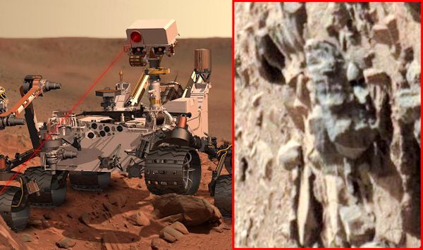 L'université de l'Ohio supprime le communiqué concernant l'étude montrant des "preuves" de présence d'insectes sur Mars
