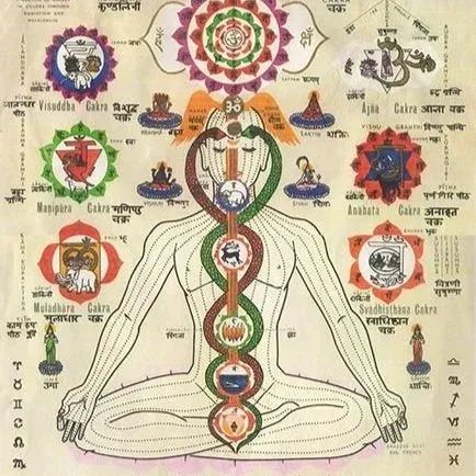 Remembering the Whole - 7 Chakras,to 144 energy centres