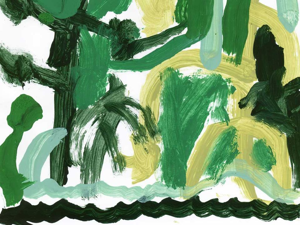 THE SEED → FOREST DIAGNOSTIC