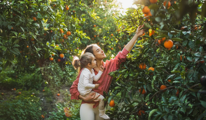 ABUNDANCE IS NOT LUCK | It is value held, multiplied, and trusted