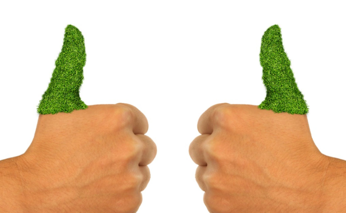 Rewilding Adults Life Lab Gardens | Grow food, Grow skills, Grow community