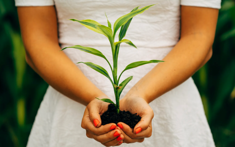 Re-Wilding Kids Life Lab Schools | Grow. Cook. Build. Connect.