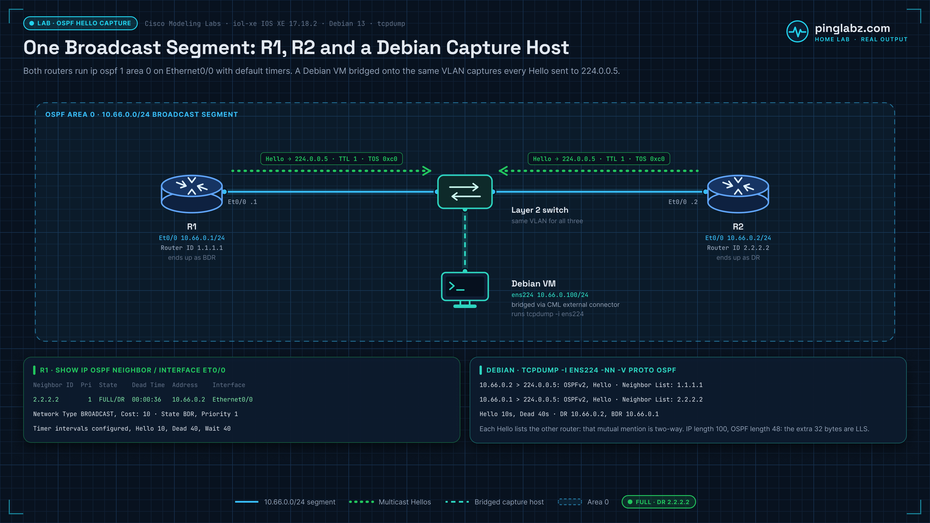 Lab diagram: R1 Et0/0 10.66.0.1 (BDR) and R2 Et0/0 10.66.0.2 (DR) share the 10.66.0.0/24 segment through a Layer 2 switch and send OSPF Hellos to 224.0.0.5 with TTL 1, while a Debian VM on ens224 10.66.0.100 captures them with tcpdump.