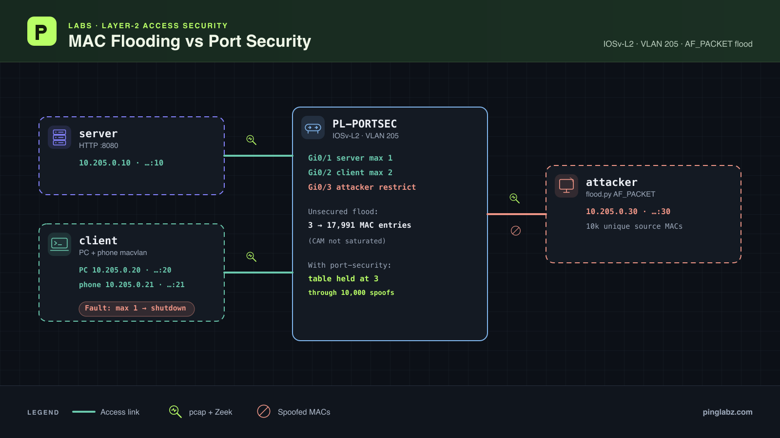 Lab topology: IOSv-L2 switch PL-PORTSEC with server, client (PC plus phone), and attacker in VLAN 205; unsecured flood grew the MAC table to 17,991 without CAM saturation; port security held it at 3