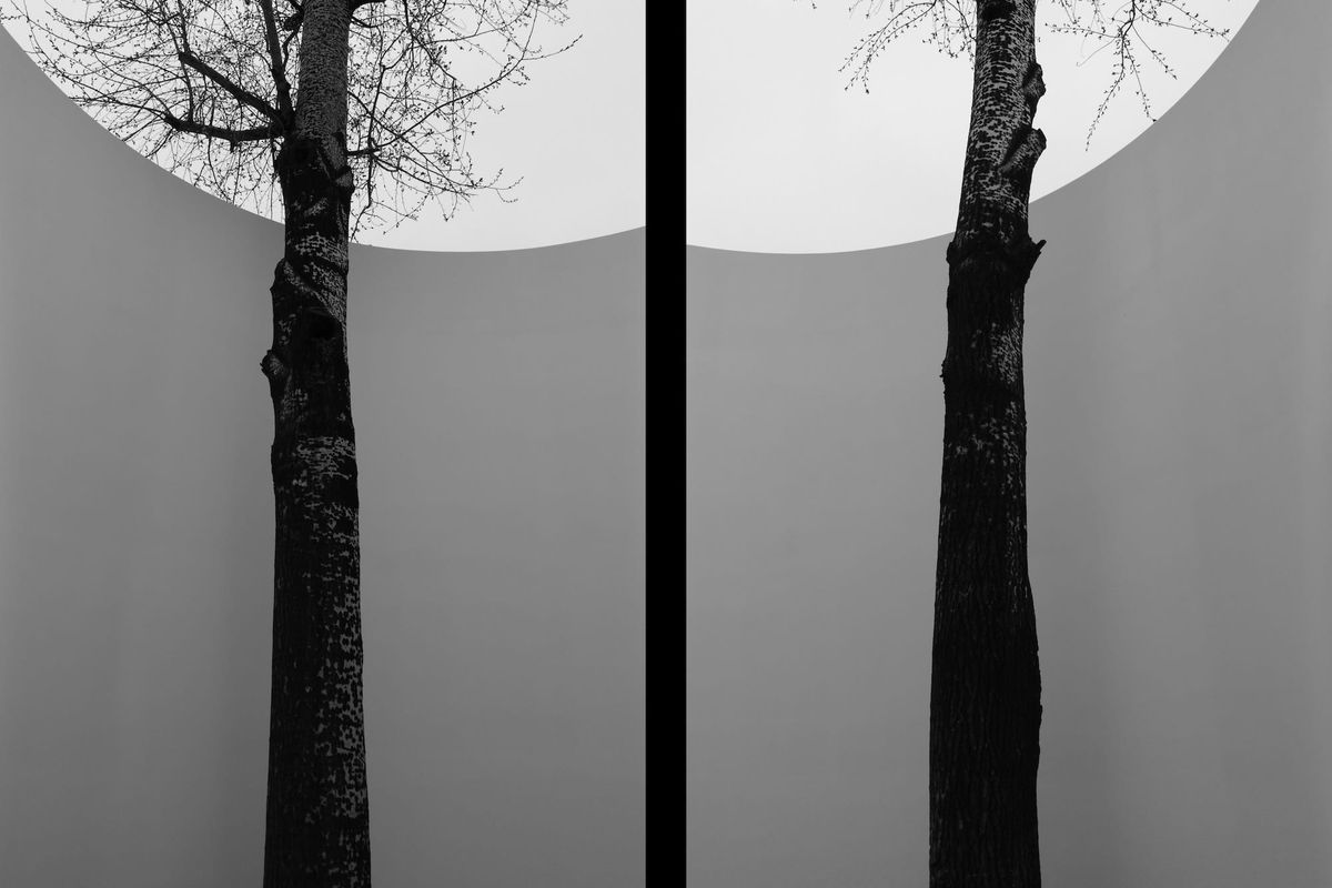 A Few Months With the Fuji X half