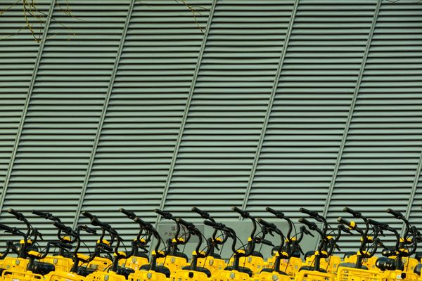 Weekly Photo Journal - Week 2025/11