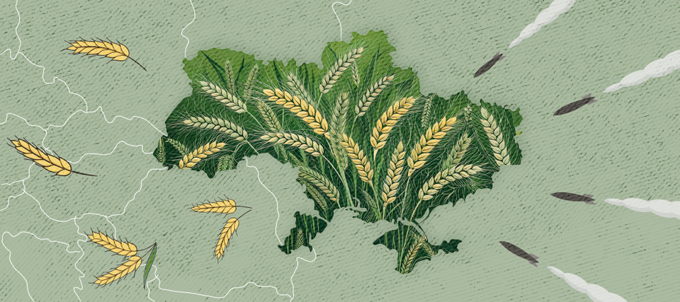 Український аграрний бізнес: як він змінюється, адаптується та розвивається в умовах війни