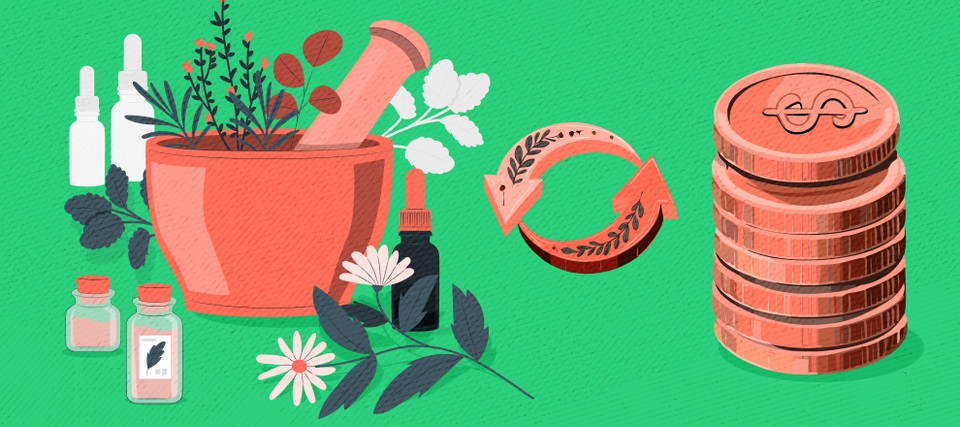 Ринок збуту лікарських рослин в Україні: перспективи бізнесу