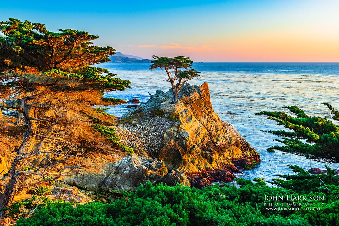 Lone Cypress tree at sunset on 17-Mile Drive in Pebble Beach, California, with golden granite cliffs and the Pacific Ocean in the background.