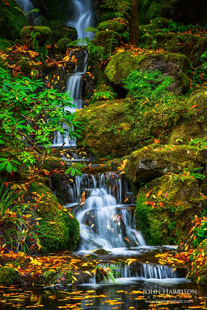 Portrait fine art photograph of a Japanese garden waterfall with moss-covered rocks and autumn leaves, tranquil Zen wall art for living rooms and healthcare interiors