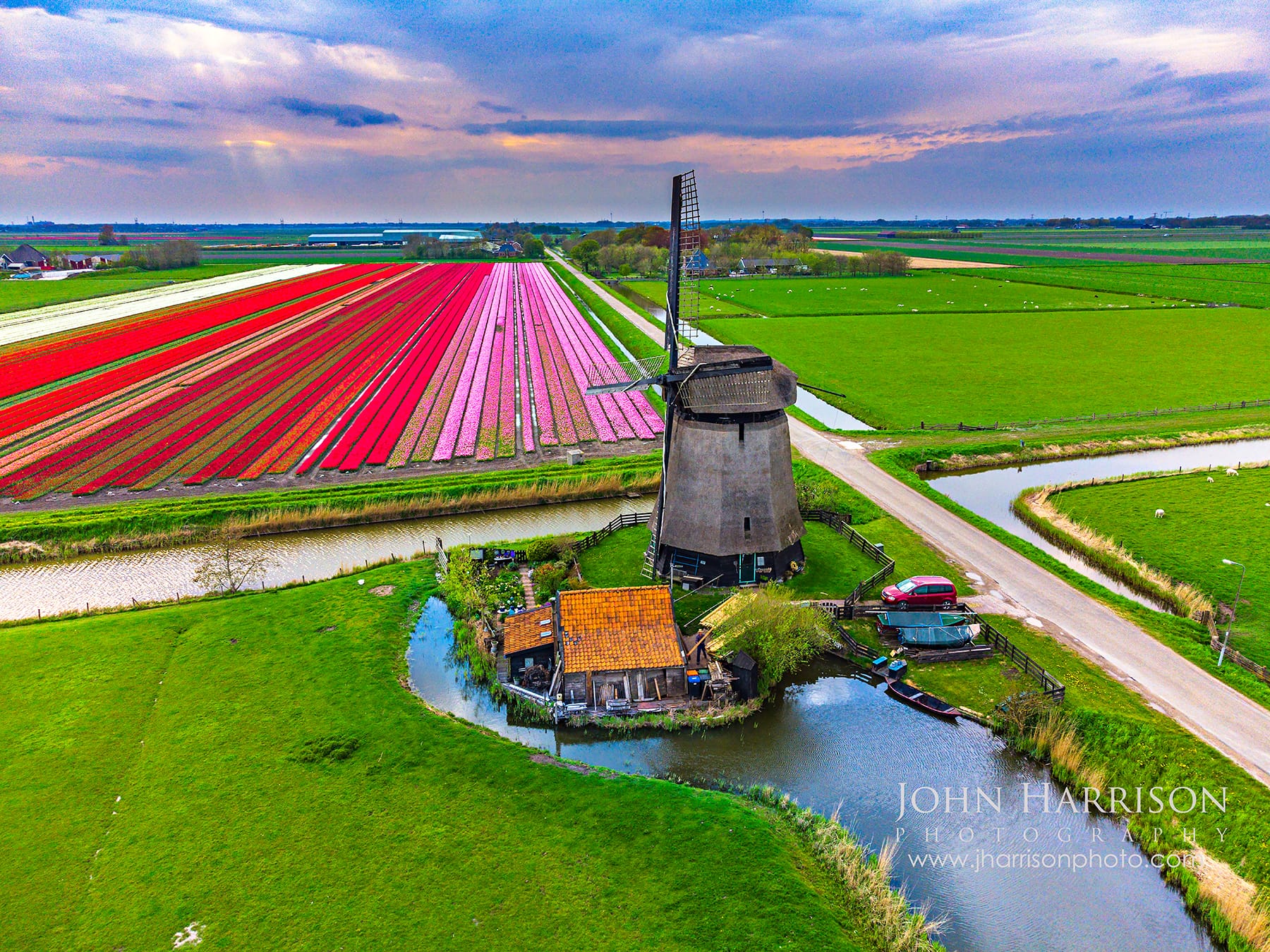 High-angle aerial photography of a traditional Dutch pumping windmill surrounded by pink, red, and yellow tulip fields at sunset. Crepuscular rays or god beams breaking through clouds over the green polder landscape near Schermerhorn and Alkmaar, Netherlands.