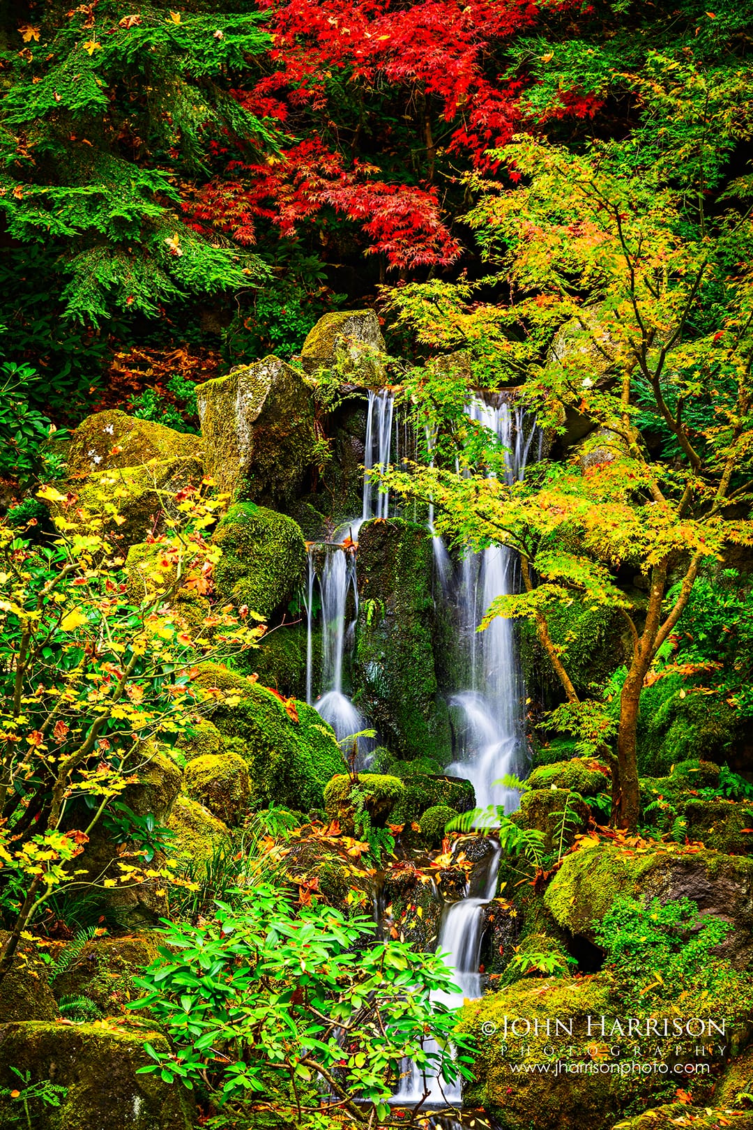 Autumn waterfall flowing through moss-covered rocks beneath vibrant Japanese maple trees at the Portland Japanese Garden in Oregon, tranquil Japanese garden wall art landscape.