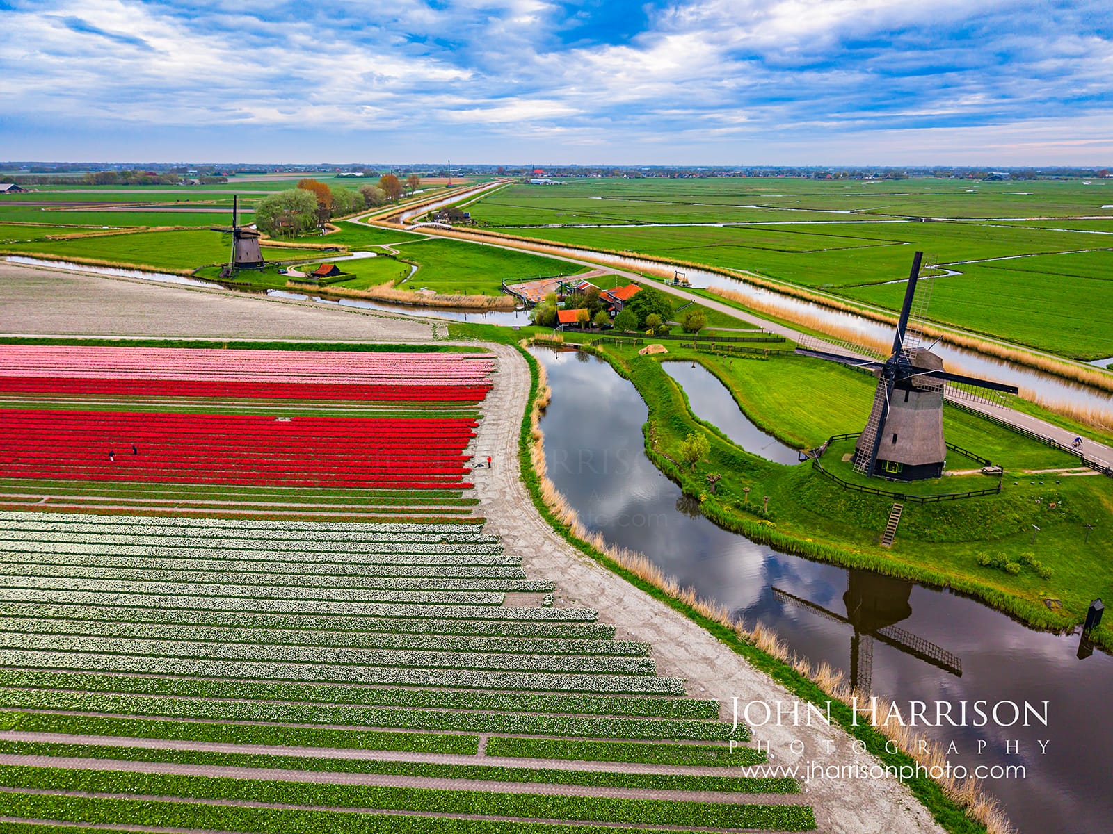 Aerial view of colorful tulip fields and two Dutch windmills near Alkmaar in North Holland, Netherlands during peak spring bloom in April 2026, captured by drone with canals and geometric rows of flowers.