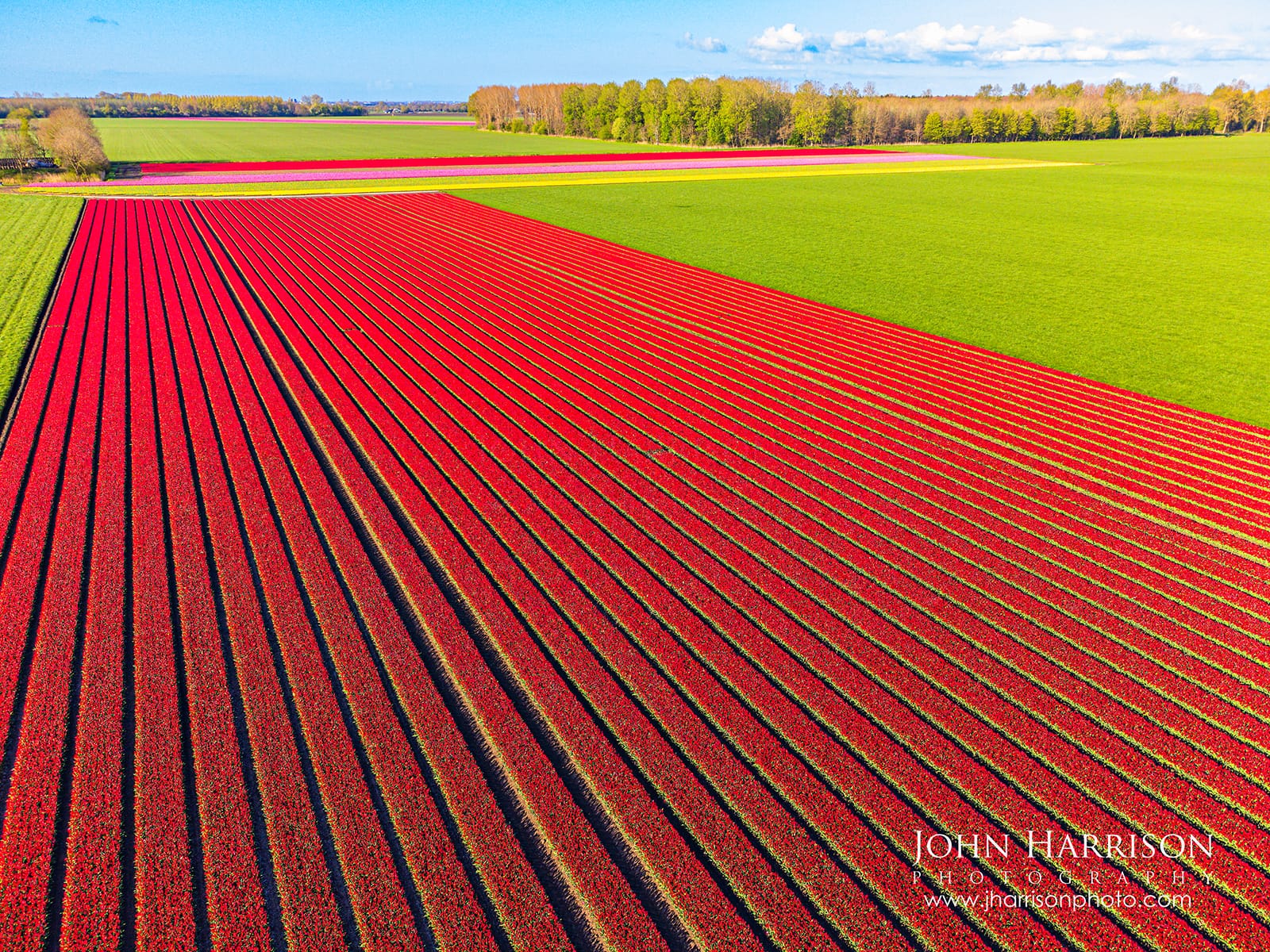 Aerial photograph of large tulip fields in Flevoland in the Netherlands showing long rows of red tulips across farmland during spring.