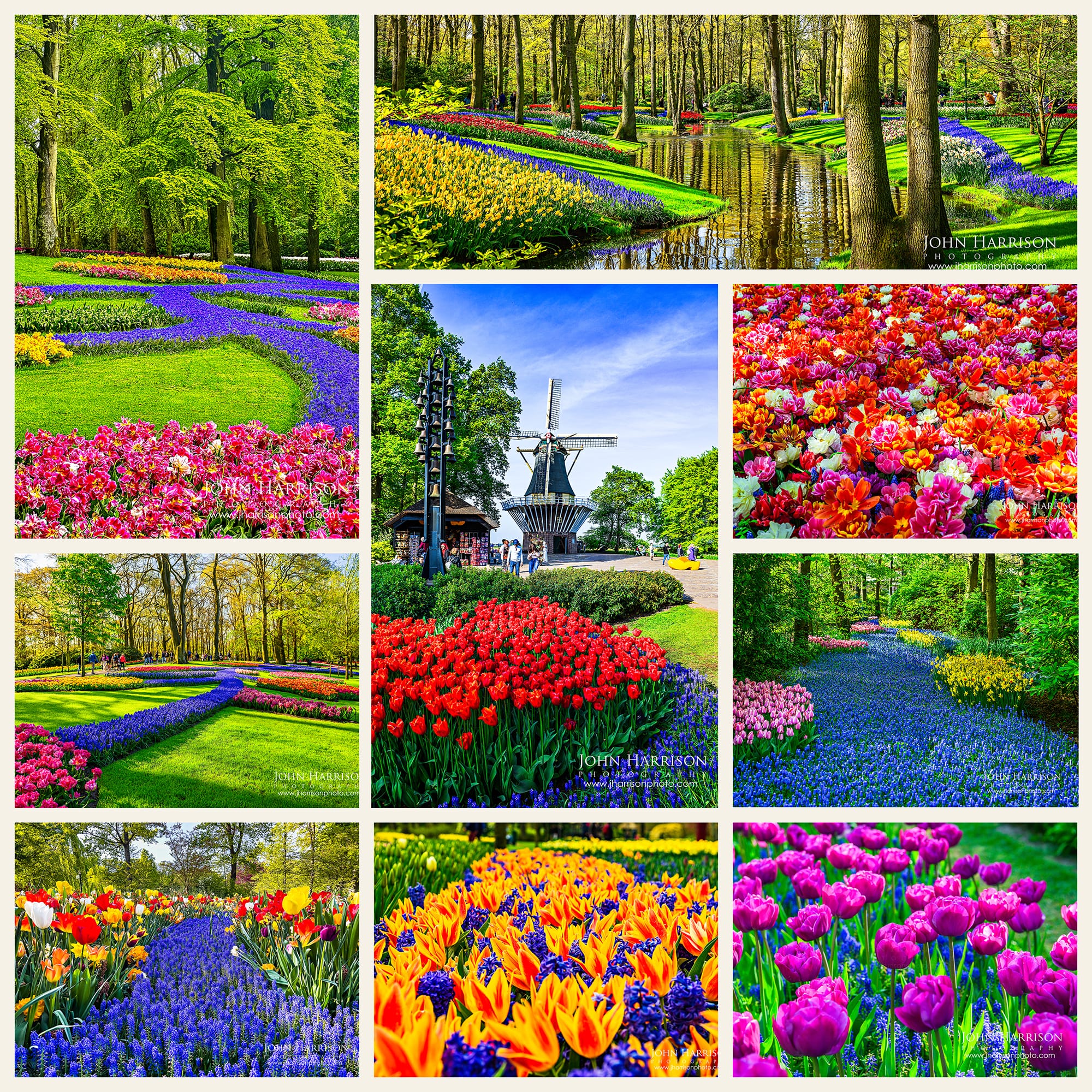 Collage of Keukenhof Gardens in the Netherlands featuring colorful tulip and hyacinth displays, winding flower paths, reflective canals, forested garden scenes, and a traditional Dutch windmill during spring bloom in Lisse.