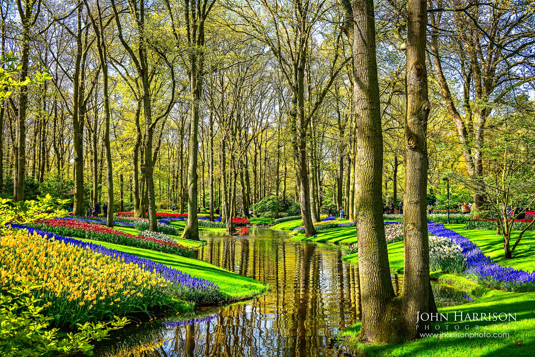 Collection of tulip displays, garden paths, and spring flowers in Keukenhof Gardens, Netherlands.