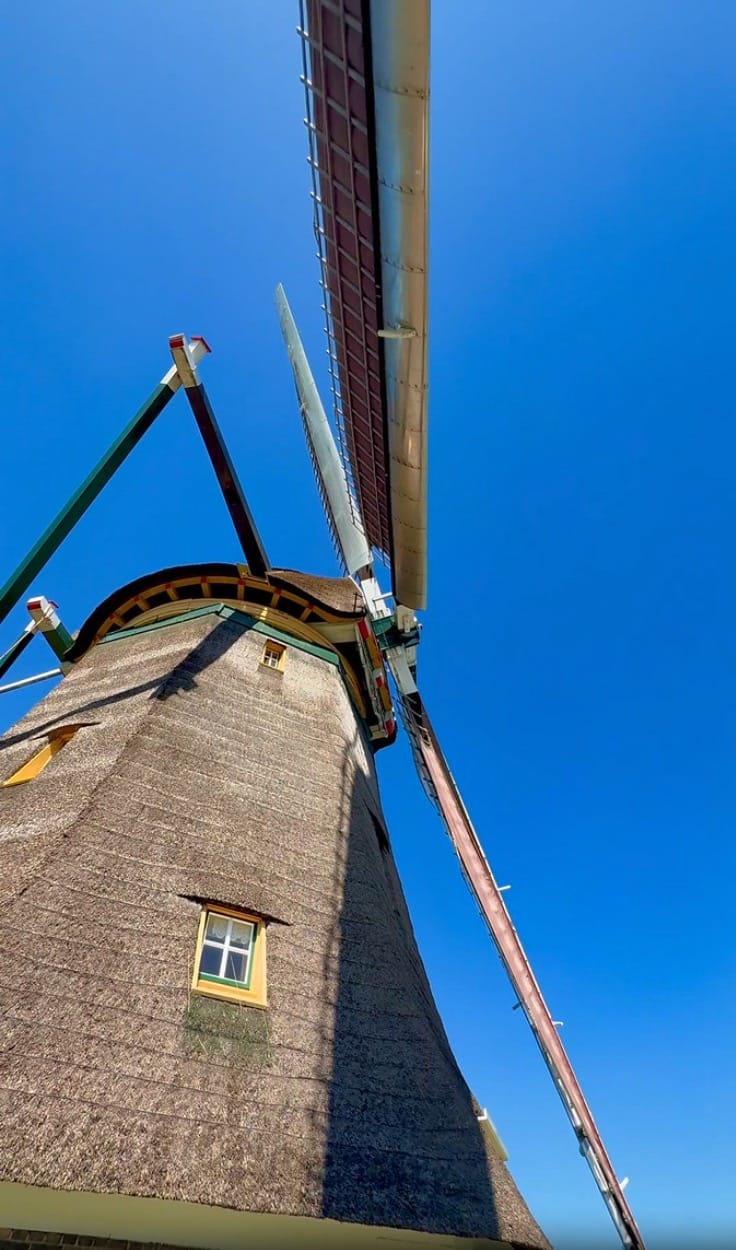 Looking up from the base of a historic Aarlanderveen windmill in South Holland, Netherlands, as massive sails turn overhead against a deep blue sky during National Windmill Day, showcasing the scale and power of traditional Dutch windmills.