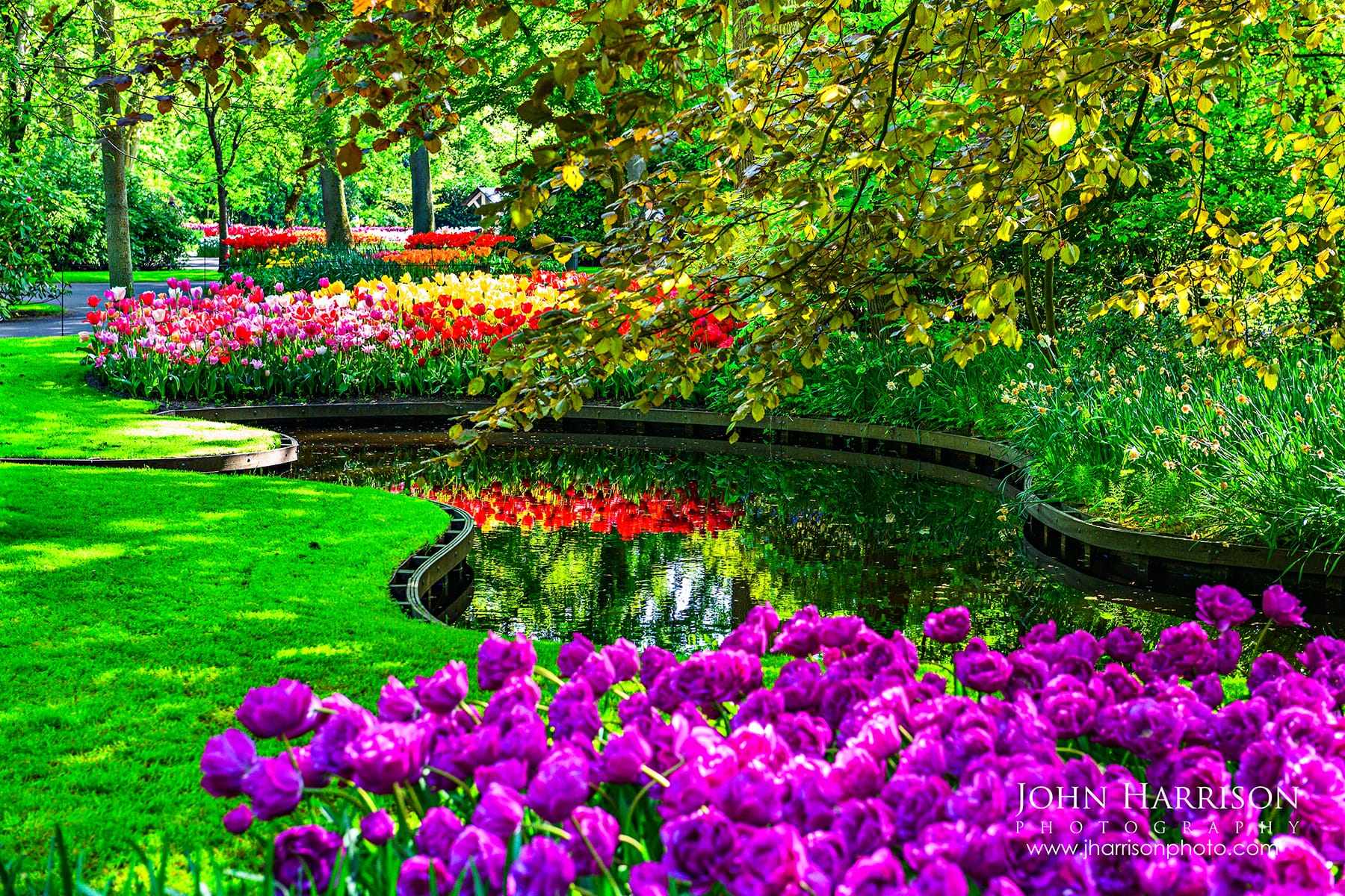 Curving canal lined with colorful tulips and spring flowers at Keukenhof Gardens in Lisse Netherlands, with reflections in calm water and trees overhead.