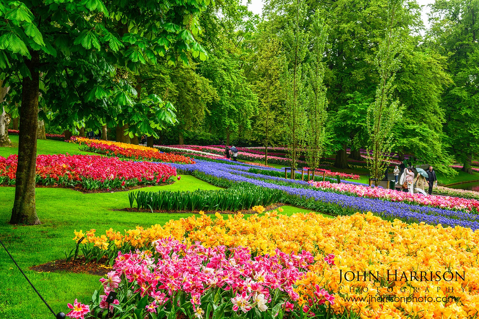 Keukenhof Gardens in May 2026 colorful tulip beds near Wilhelmina Pavilion Lisse Netherlands after rain