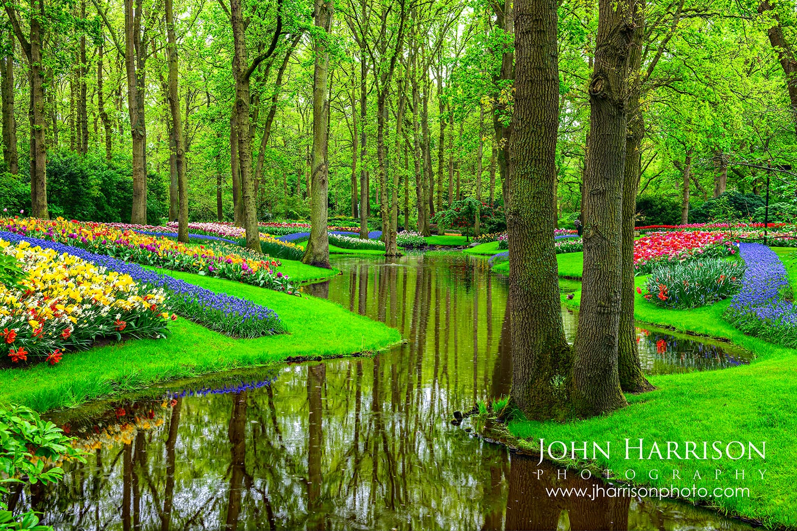 Keukenhof Gardens canal with tulips and blue muscari in early May 2026 Lisse Netherlands peaceful spring morning scene