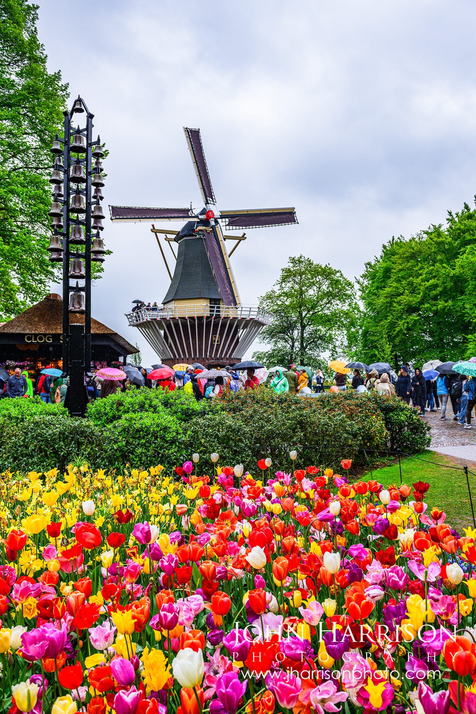 Keukenhof windmill with colorful tulips and visitors holding umbrellas in rain Netherlands May 2026