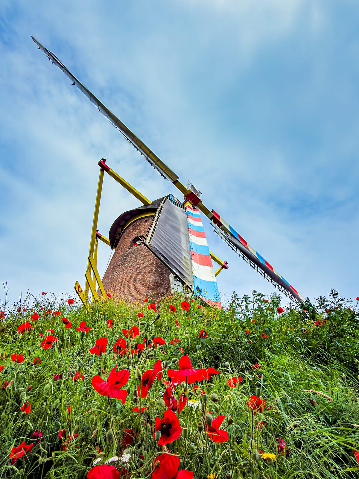Historic Molen De Volksvriend windmill in Gemert near Eindhoven, Netherlands, photographed from a low angle above a field of bright red poppies and wildflowers beneath a cloudy summer sky.