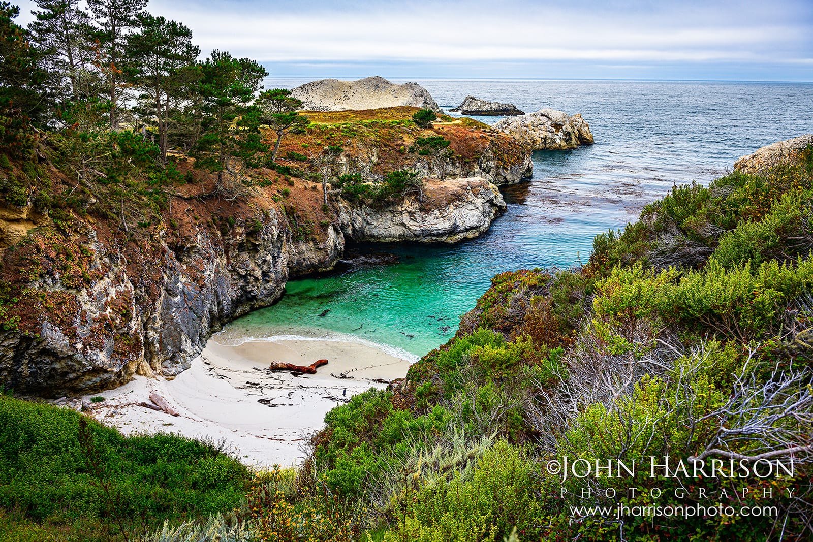 Turquoise water and white-sand beach at China Cove with coastal cliffs, trees and Bird Island in the distance at Point Lobos State Natural Reserve.