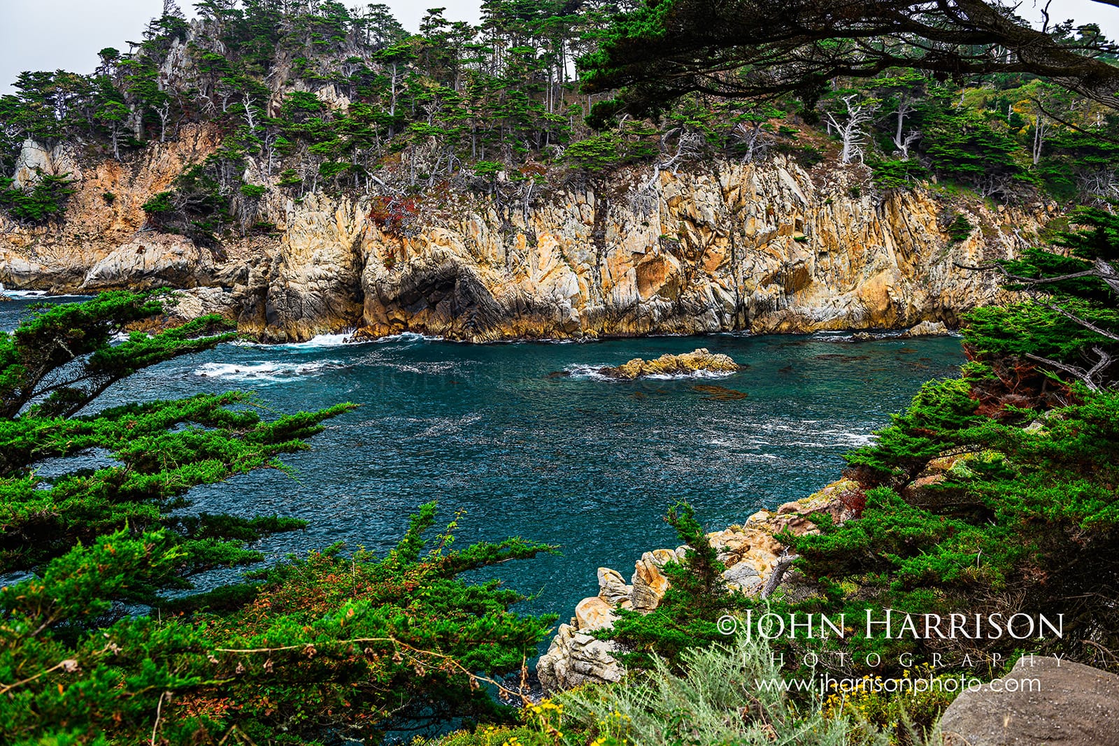 Monterey cypress trees frame rocky coastal cliffs and blue Pacific water along the Cypress Grove Trail at Point Lobos State Natural Reserve.