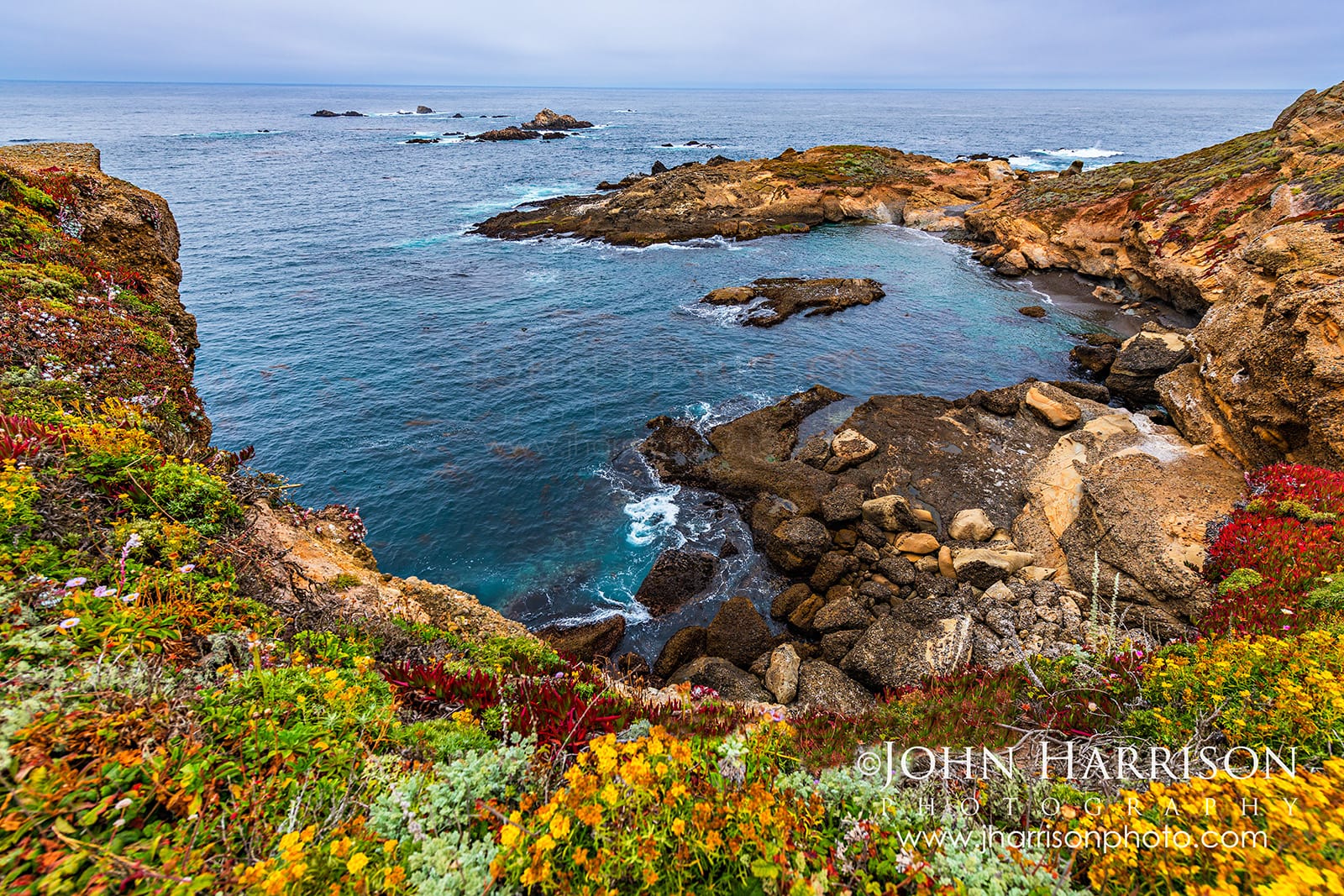 Sea Lion Point and Sea Lion Cove at Point Lobos with colorful coastal vegetation, rocky cliffs and blue Pacific Ocean.