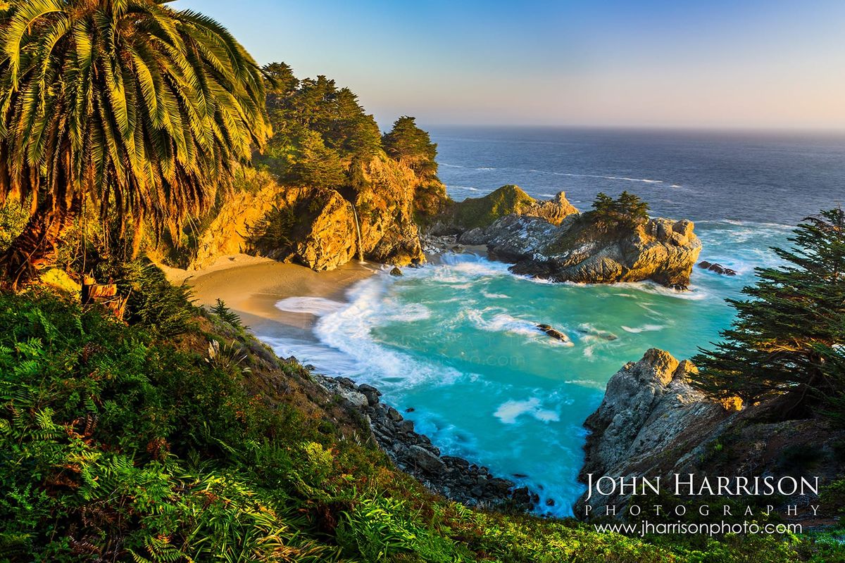 McWay Falls at sunset in Julia Pfeiffer Burns State Park, featuring a palm tree, turquoise cove, waterfall, and golden cliffs along California's Big Sur coastline.