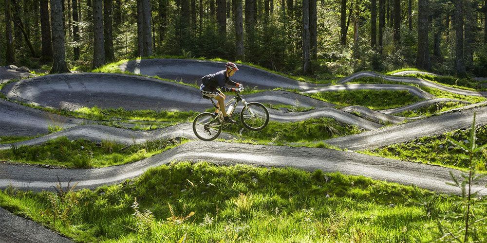 Coed y Brenin mountain bike