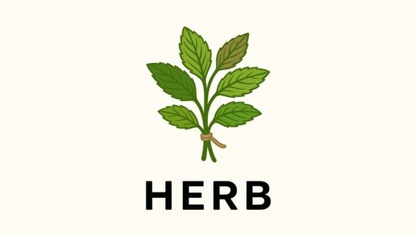 Introducing Herb ...