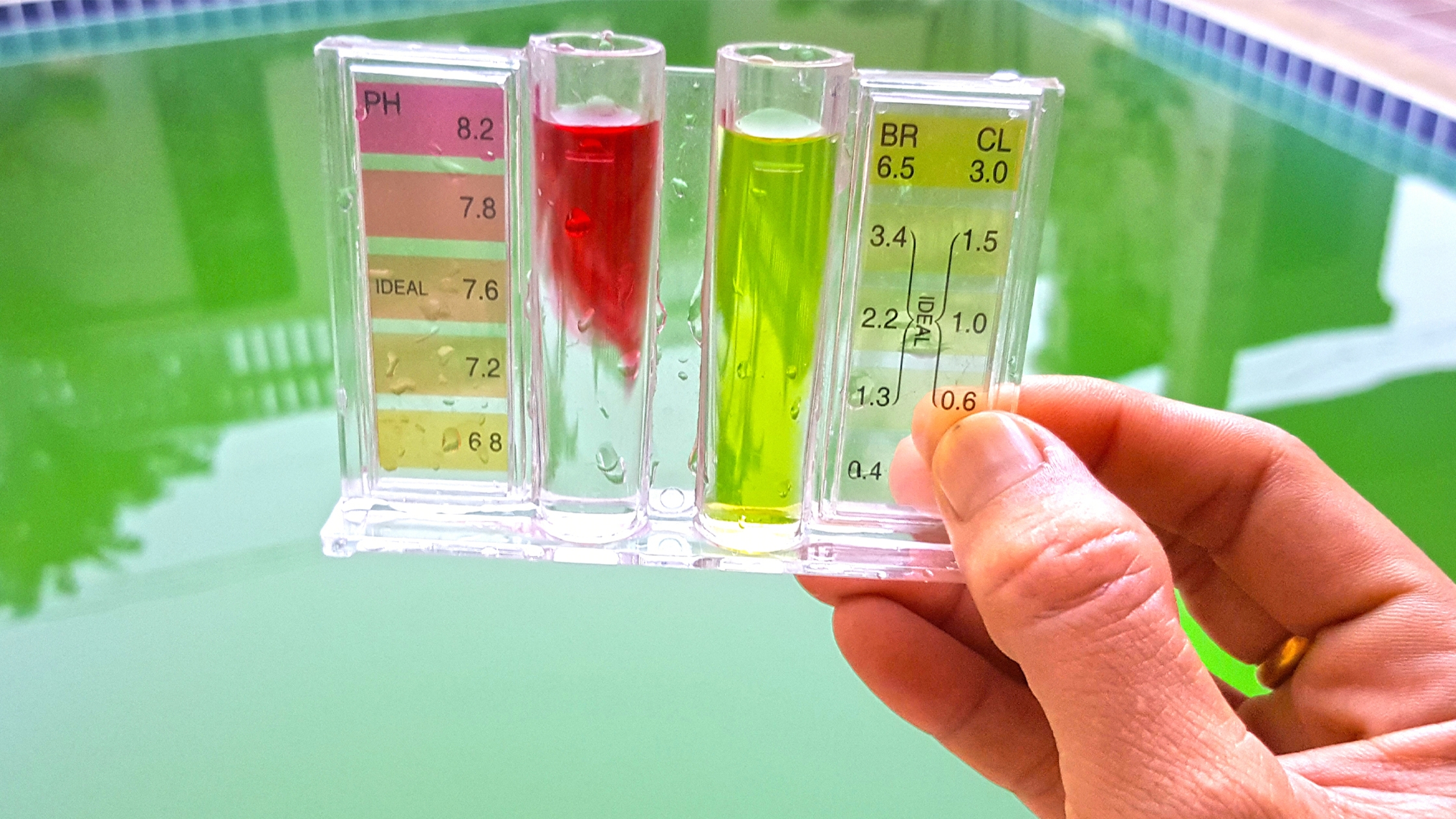 test and balance the ph to remove the white water mold