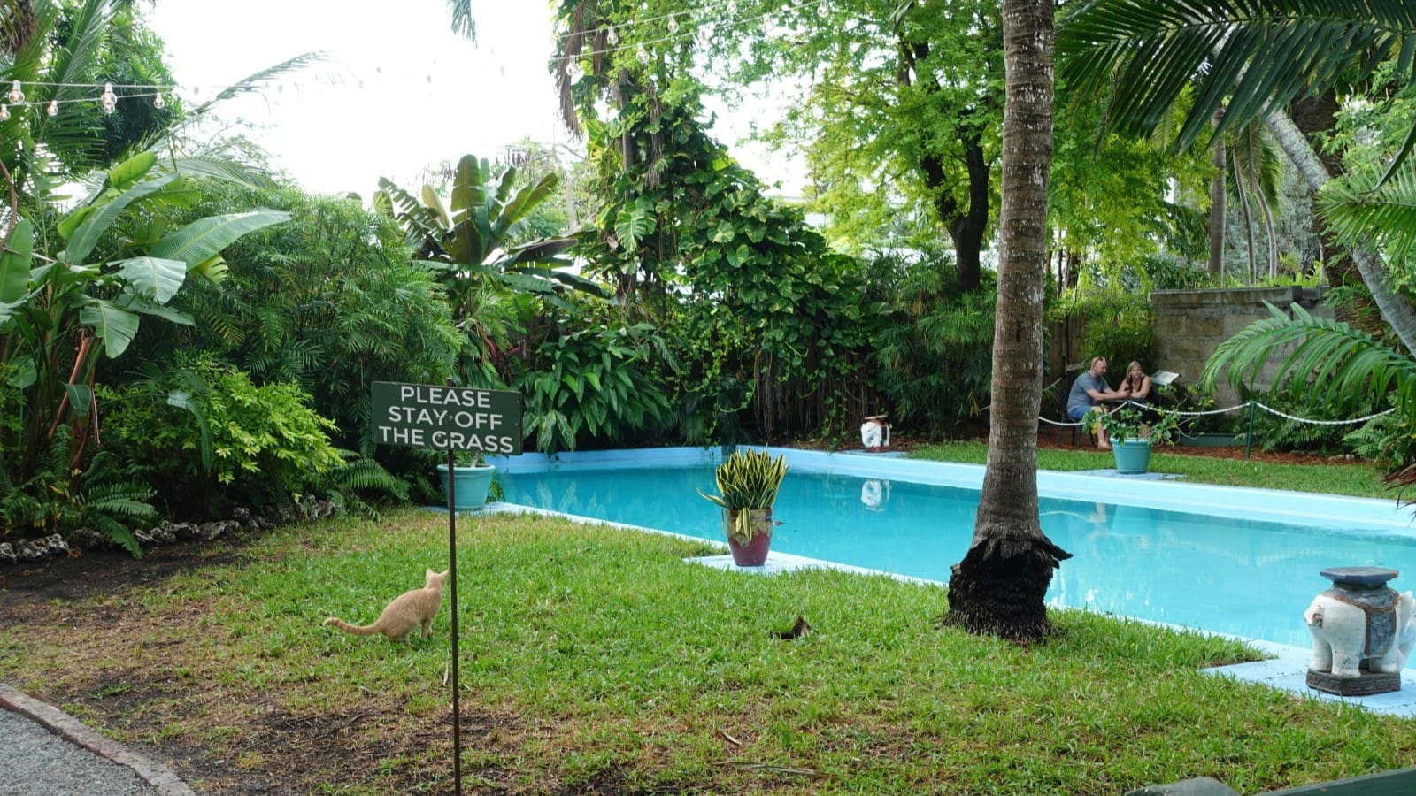 An eco-friendly pool in a lush garden with a "Please Stay Off The Grass" sign and a cat. Two people sit by the pool.
