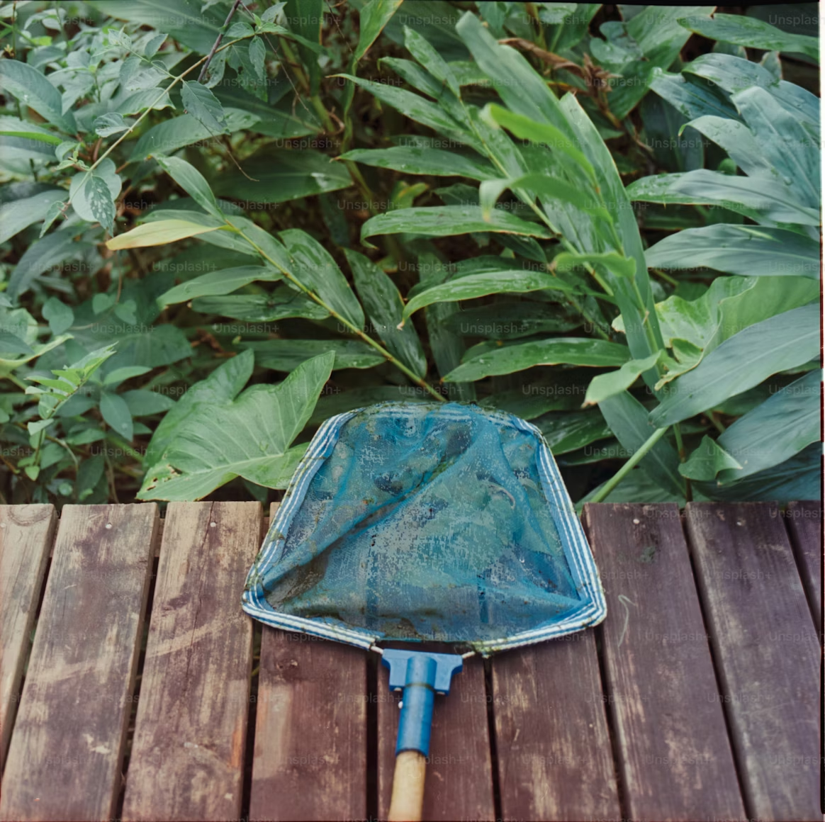 Manual leaf skimmer