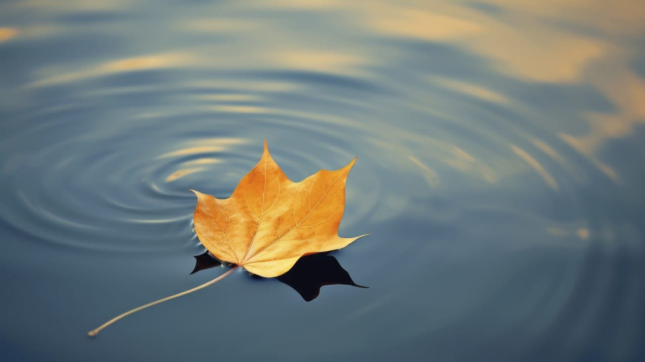 pool with leaves and debris affecting robotic cleaner performance