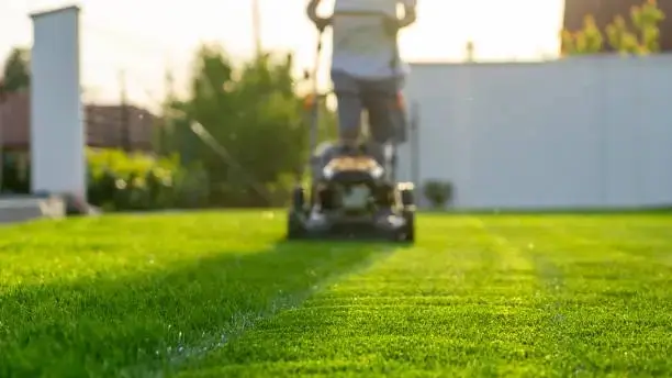 Homeowner mowing a lawn slightly shorter to reveal uneven dips, preparing for dethatching and leveling work.