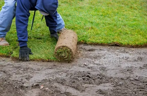 Person laying fresh sod rolls in a staggered brickwork pattern along a straight edge, installing new turf on prepared soil.