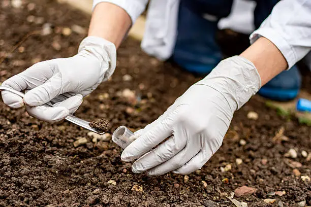 A person collecting soil samples with a test tube and spatula, preparing for lawn sod installation.