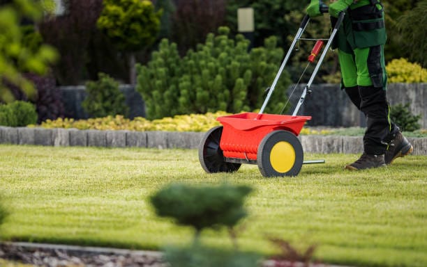 Person using a broadcast spreader to apply fertilizer evenly to a green lawn in a residential yard.