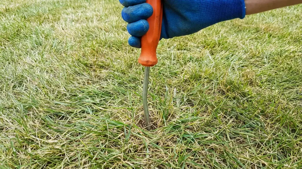 Gardener performing core aeration on a sloped lawn to loosen compacted clay soil and improve water absorption.
