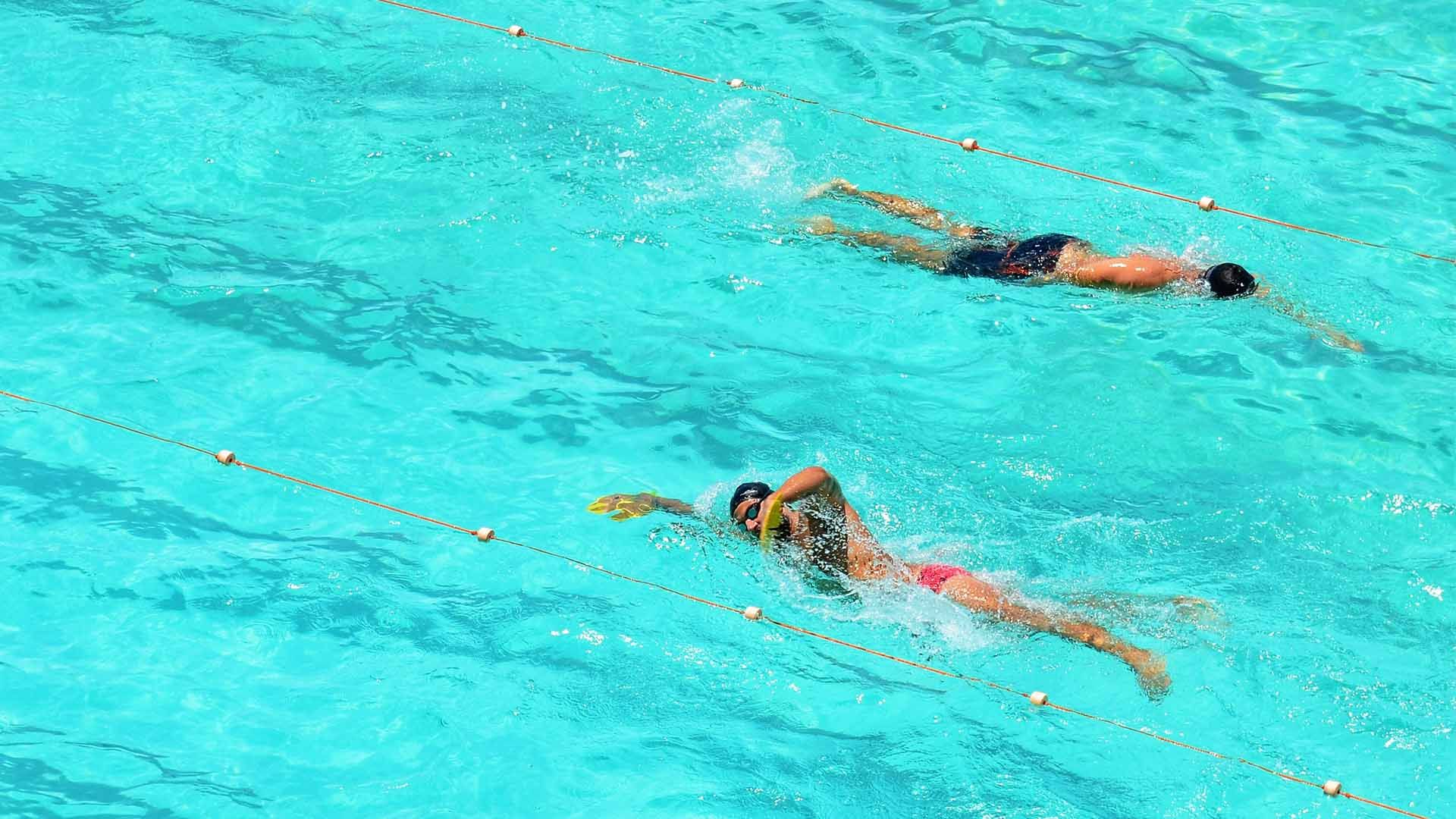 Two people are freestyle swimming