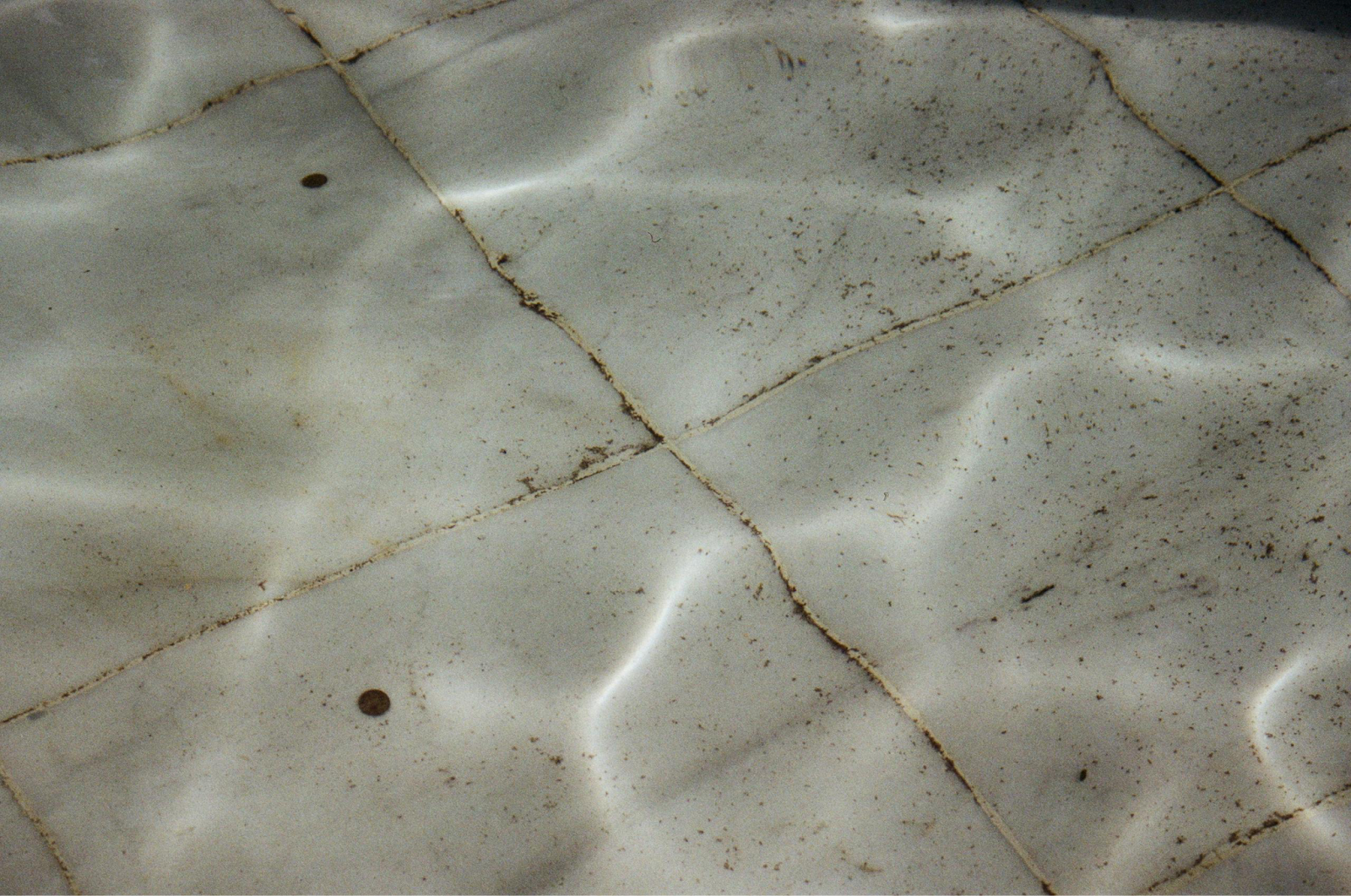 Tiles on bottom of swimming pool