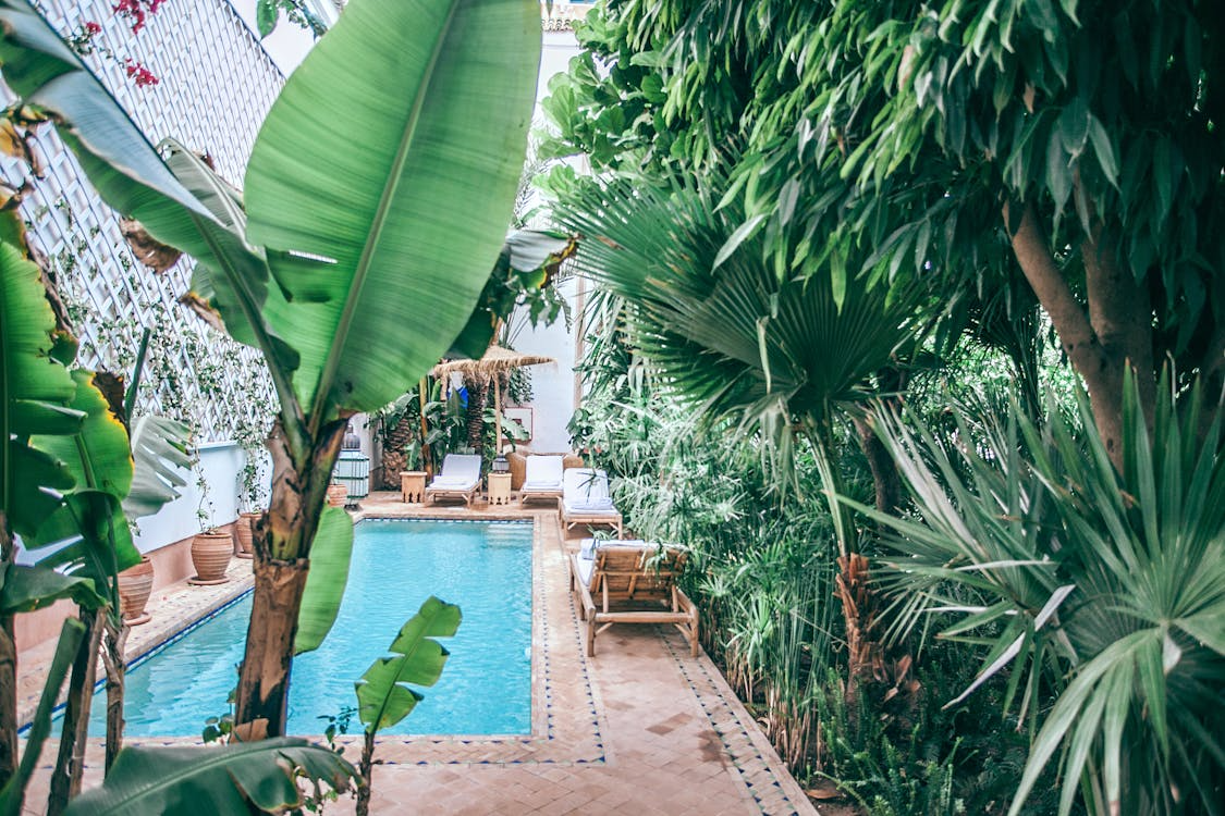 Poolroboter sind ideal für Außenpools im Garten