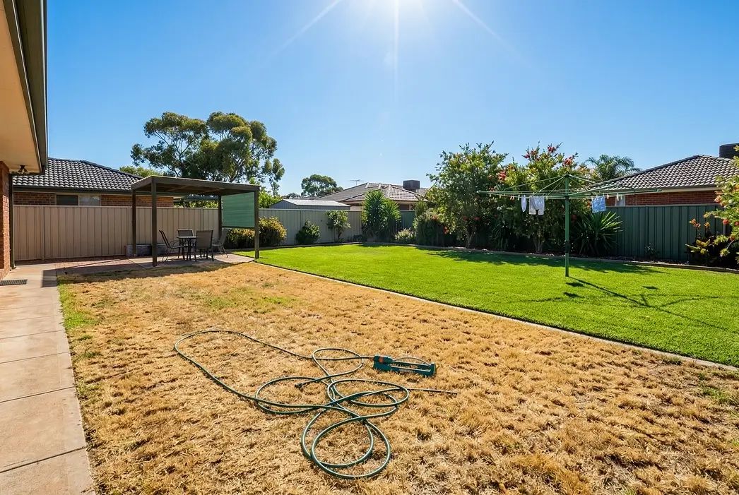 A split view of a dry patchy Australian lawn versus lush green grass under summer sun highlighting watering mistakes.